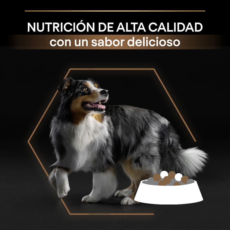 Pro Plan Medium Adult Duo D&eacute;lice Pollo pienso para perros Imagen numero 3